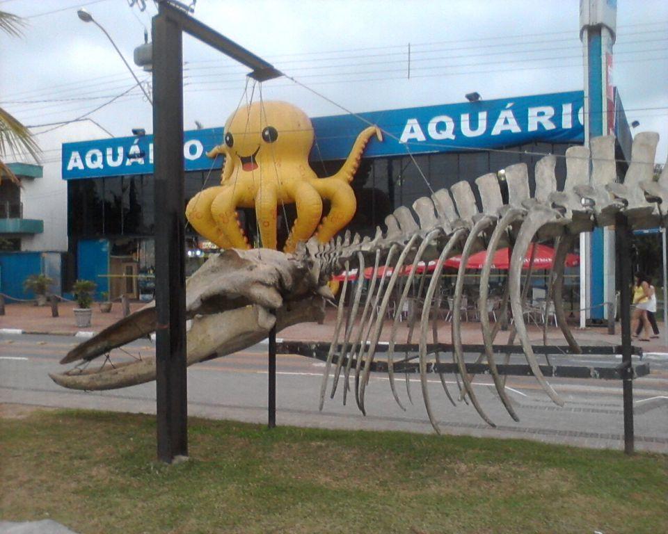 Apartamento Estúdio na Pitangueiras Guarujá Exterior foto